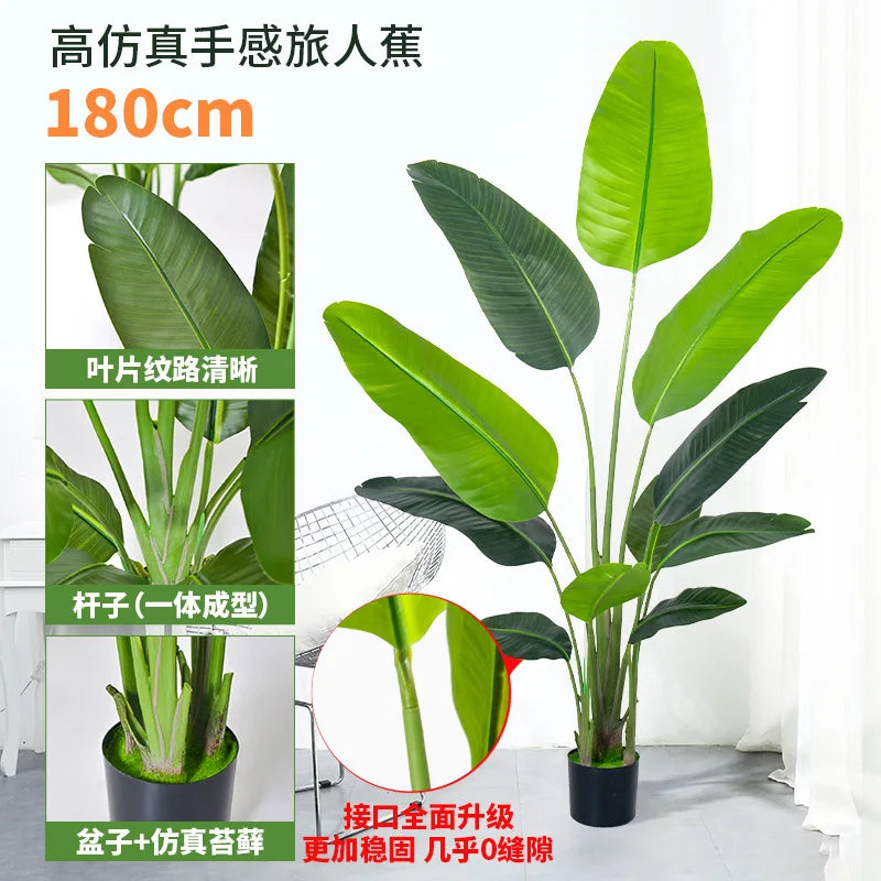 S53129c43dc6741b6ba761409145e7bc12